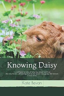 Knowing Daisy von Bevan, Kate | Buch | Zustand gut