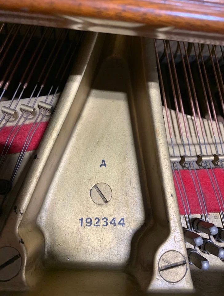 Piano de cola Steinway modelo A-3 6'4,5' reconstruido/unicornio raro  Foto 3 de 4
