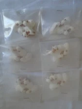 6 Sandy Whitefeather Native American Handmade White Lamb Figurines 