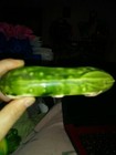 Small Vintage Planters Shaped Like A Cucumber — photo 1