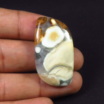 Rarester Cobra Jasper Edelstein Fancy Echtes Cabochon Lose 35x20mm CJ-21