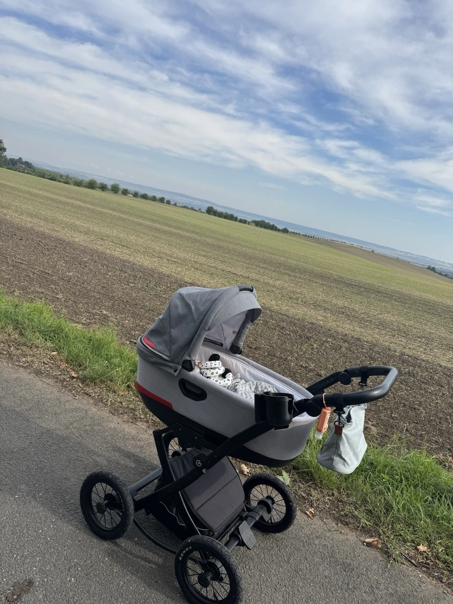 Jedo Kinderwagen online kaufen | eBay.de