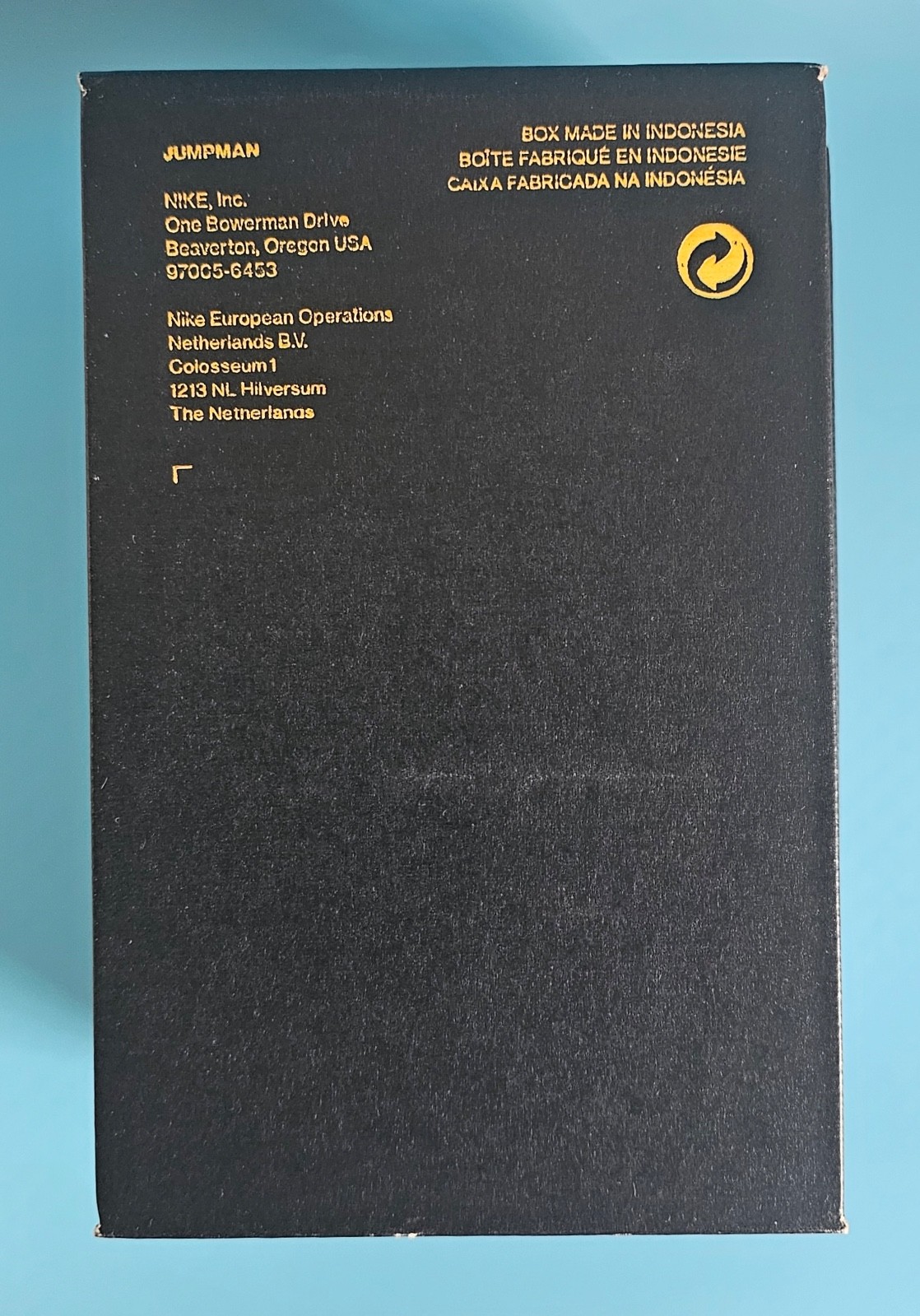 Nike Air Jordan 1 Low ALT SE (TD) Toddler Size 4C, Lightly Used, IB3886 106 thumbnail 13