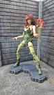 Poison Ivy Action Figure Custom, Mcfarlane,Marvel Legends, Batman villian
