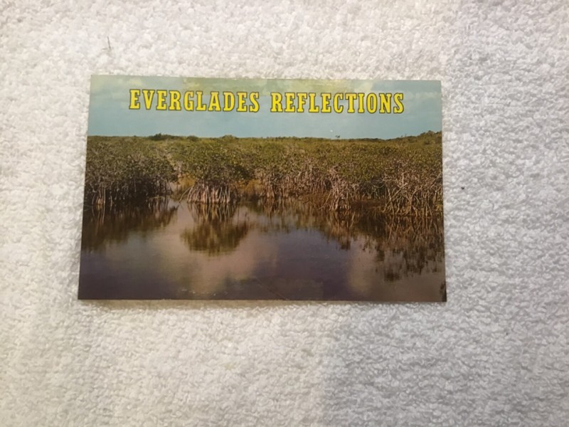 VINTAGE POSTCARD EVERGLADES REFLECTIONS