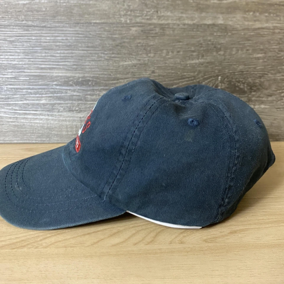 Gorra Reeds para exteriores gorra correa trasera bordada para hombre sombreros de titanio Foto 4 de 4