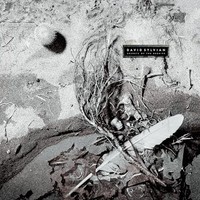 David Sylvian - Secrets Of The Beehive - Vinyl Record - F123Z