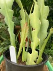 Foto 5 di 7