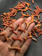 100 Crt Lot   100 Natural Red Coral Unpolished Branch-Italian Red Coral Stick