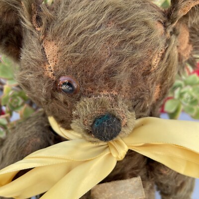 ANTIQUE KNICKERBOCKER MOHAIR TEDDY BEAR 1925-1930 PLS READ | eBay