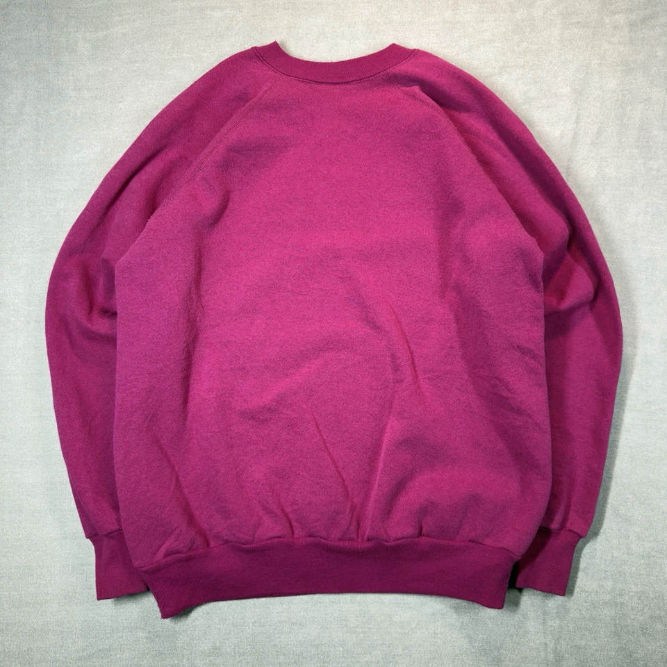 Sudadera De Colección Años 90 Mañana Sol Rosa Gatitos Gatitos Adulto Grande Hecha en EE. UU. Foto 3 de 4