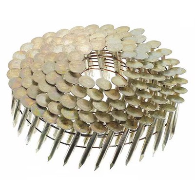 Senco M003105 Collated Roofing Nail, 3/4 In L, 11 Ga, Electro Galvanized, Flat