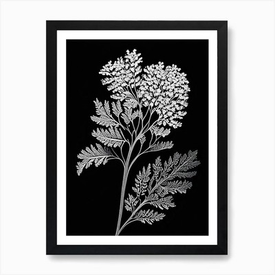 Schafgarbenblatt Linolschnitt 5 Kunstdruck gerahmt Wandbild Poster Leinwanddruck Bild