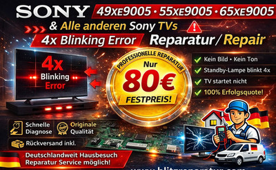 Sony 49XE9005 55XE9005 65XE9005 4 Mal Blinken 4 Times Blinking Repair Mainboard