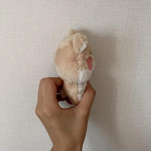 Convenience store Hoshi hamster Hoshi 10cm doll - Bild 4 von 4