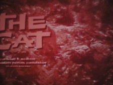 16mm The Cat Peggy Ann Garner Roger Perry Shug Fisher Barry Coe Richard Webb