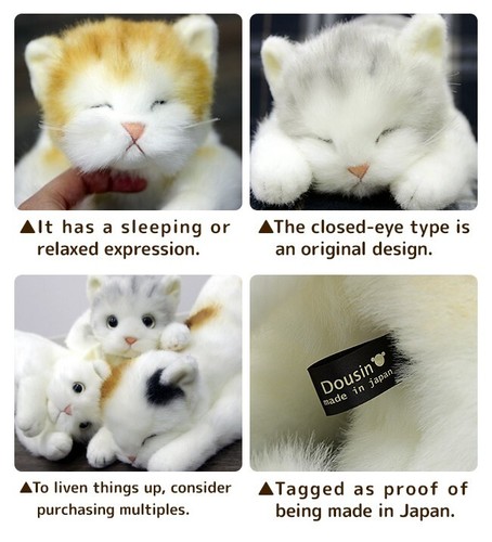 DOUSIN, Made in Japan, Realistic cat stuffed toy, White, close-eyes 22.8 in - 第 5/9 張圖片