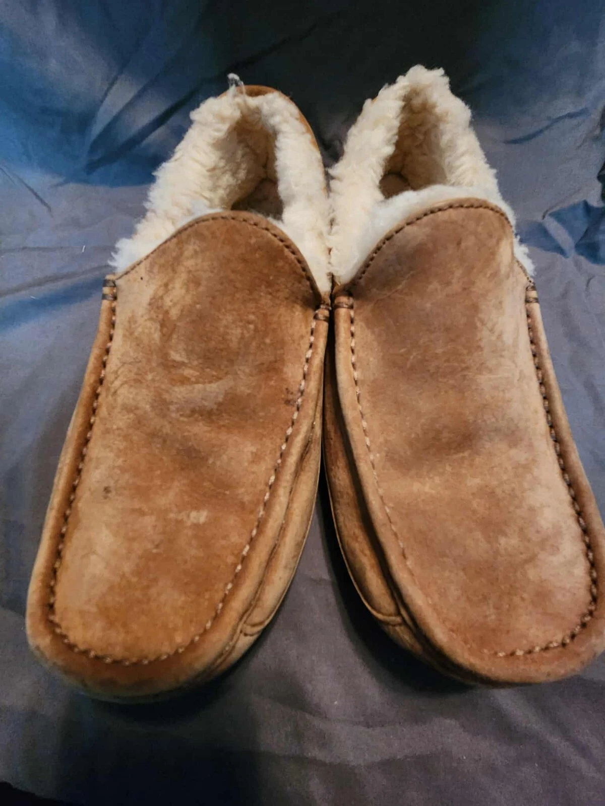 UGG ASCOT SCARPE MOCASSINI PANTOFOLE PELLE DI PECORA SCAMOSCIATA CASTAGNA TAGLIA 7 UOMO