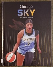 Chicago Sky by Charlie Beattie - hardcover book