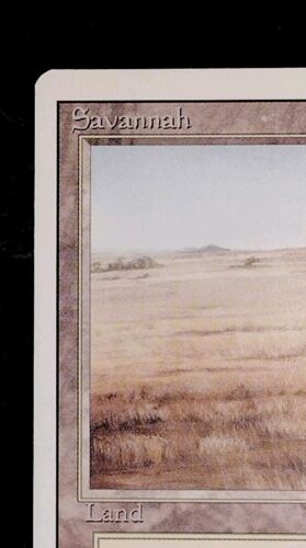 Savannah Dual Land Revised NM or Better UNPLAYED 1994 Magic The Gathering MTG - Picture 2 of 21