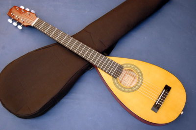 Travel Guitar Steel String Backpacker Acoustic Guitar + Gig