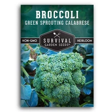 Green Sprouting Calabrese Broccoli Seeds for Planting - Heirloom Variety for ...