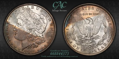 CACG MS-64 1886-P Morgan Silver Dollar, Dramatic, Tab-Toned Beauty!