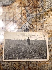 Farmers Mutual Hail Insurance Company Postcard Crop Destroyed By Hail
