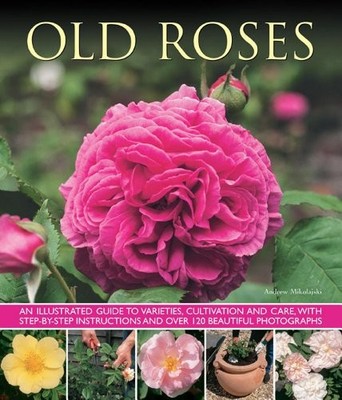 Old Roses: An Illustrated Guide To Varieties, Cu by Andrew Mikolajski 178019241X