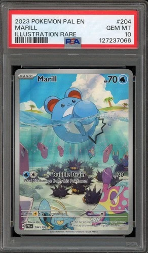 Pokemon Marill Paldea Evolved Illustration Rare #204 PSA 10 Gem Mint