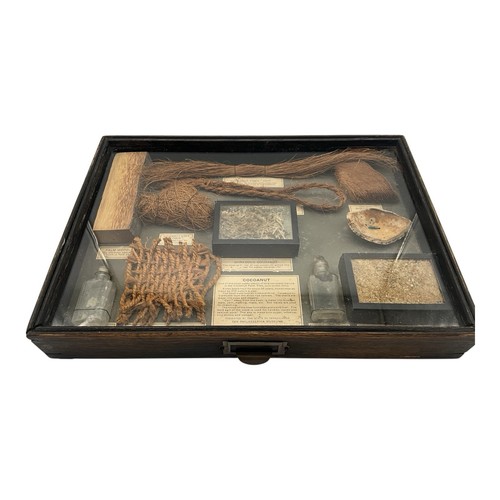 Antique Shadow Box Display Diorama COCONUT Product Samples Philadelphia Museum