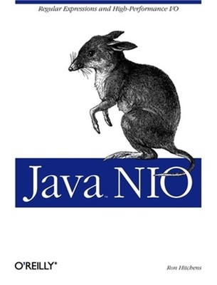 Java Nio (Paperback or Softback)
