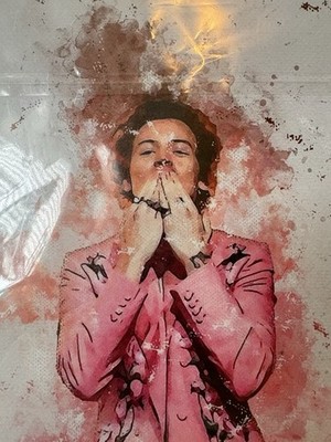 Harry Styles   Pink Suit Metal Tin Sign Plaque 12 Tall