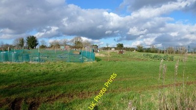 Foto 6x4 Kleingärten, Oakridge Far Oakridge sehen aus wie schön große Grundstücke er c2016