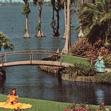 Postcard FL Cypress Gardens Roses and Bougainvillea Tropical Dresses