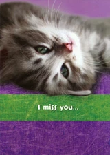 Designer Greetings Upside Down Gray Kitten Face Funny  Humorous Miss You Card