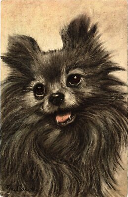 CPA AK Pomeranian DOGS (1387988)