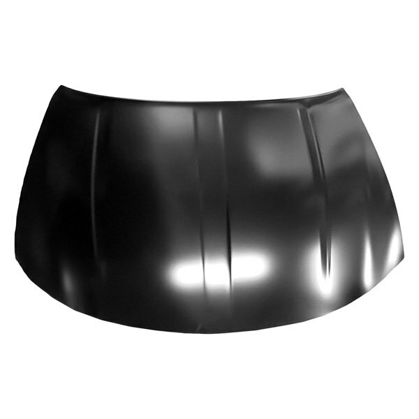 Hood for Dodge Charger 06.2014-
