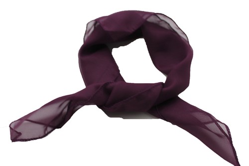 Small Classic Chic Women Neck Tie Scarf Sheer Fabric Pocket Square Dark Purple - Picture 9 of 9