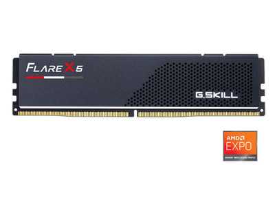 G.SKILL F56000J3038F8GH1FX5 8GB DDR5 6000 Desktop Memory Module CL30