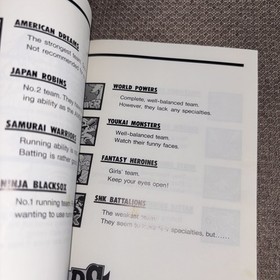 Baseball Stars Professional SNK (Neo Geo AES) Manual Only Nice Shape! 1990