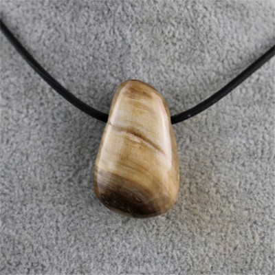 MINERALIEN * Anhänger FOSSILES HOLZ getrommelt Sternzeichen Schütze Skorpion Steinbock