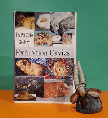 Melanie Costin: The Pet Club's Guide to Exhibition Cavies/guinea - Main Image