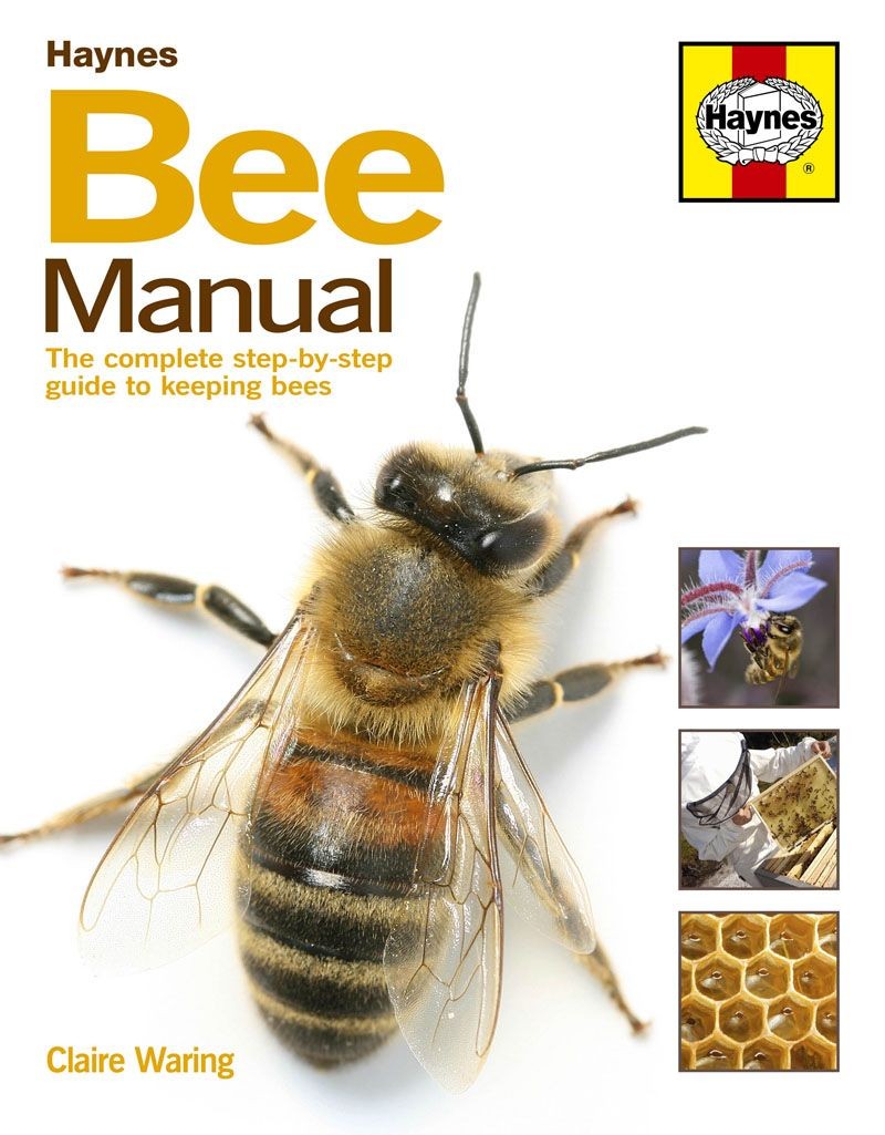 Eviter les erreurs apiculture livre de conseils Haynes abeilles