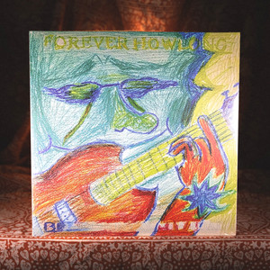 Black Country New Road Vinyl | eBay