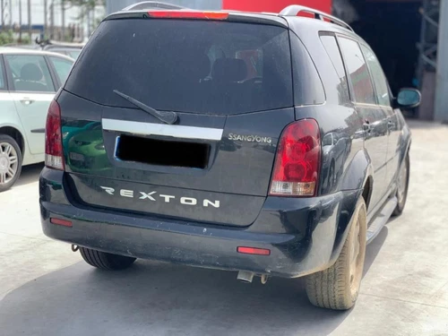 6300108102 Puerta Trasera Derecha para SSANGYONG REXTON RX 270 Full 2005 171702 - Imagen 9 de 10