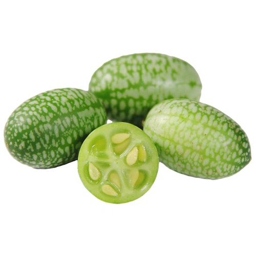 50 Mini-Zoll-Wassermelonenkerne Rotes Fruchtfleisch Bio-Wassermelone Heiß ≌ - Bild 5 von 13
