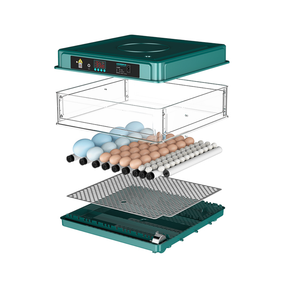 Temperature Control 12V 64 chicken egg Incubators Auto Chicken Incubator