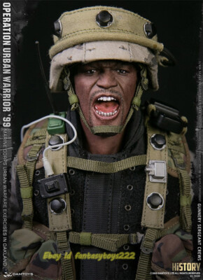 DAMTOYS 1/6 78080 Marine Corps Gunner Sergeant Major Action Figure