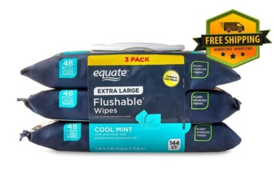 Equate Extra Large Flushable Wet Wipes, Cool Mint Scent   144 Wipes (3-Pack)